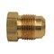 Thrifco Plumbing 39-F 1/2 Inch Brass Flare Plug 2/Pack 4401223 - alternate 1